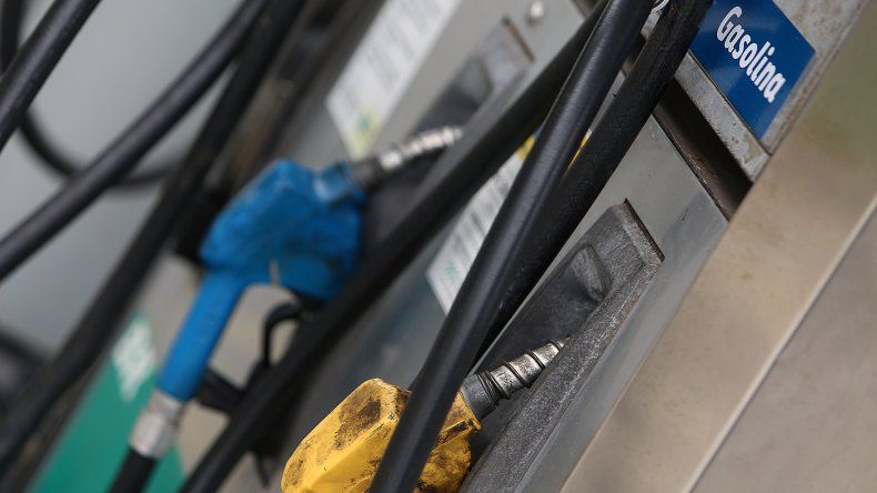 98 gasolina del precio neste