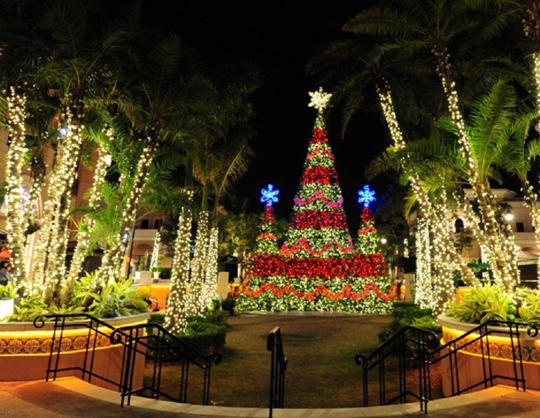 10 planes para disfrutar en familia en Nochebuena y Navidad en Miami