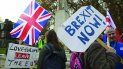 Manifestantes a favor del brexit en el Reino Unido. Manifestantes a favor del brexit en el Reino Unido.