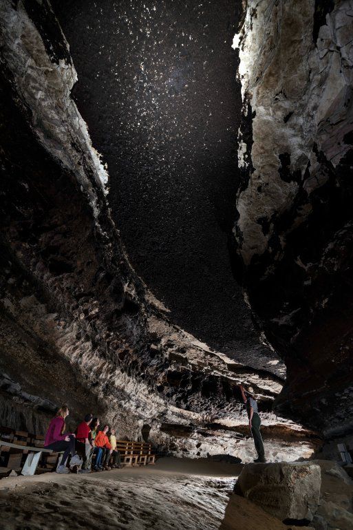 se permiten perros en la cueva del mamut