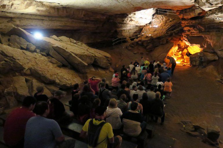 se permiten perros en la cueva del mamut