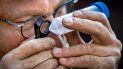 Científico evalúa mosquito transmisor del Zika. Científico evalúa mosquito transmisor del Zika.