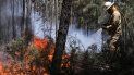 Un miembro de la Guardia Nacional Republicana (GNR) portuguesa combate el fuego en Alto da Louriceira. Un miembro de la Guardia Nacional Republicana (GNR) portuguesa combate el fuego en Alto da Louriceira.Â