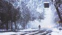Calles enteras se han colmado de nieve. Calles enteras se han colmado de nieve.