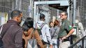 Unos 15.000 cubanos han visto frustrado su intento de ingresar a los EEUU en lo que va del año fiscal 2017. Unos 15.000 cubanos han visto frustrado su intento de ingresar a los EEUU en lo que va del año fiscal 2017.