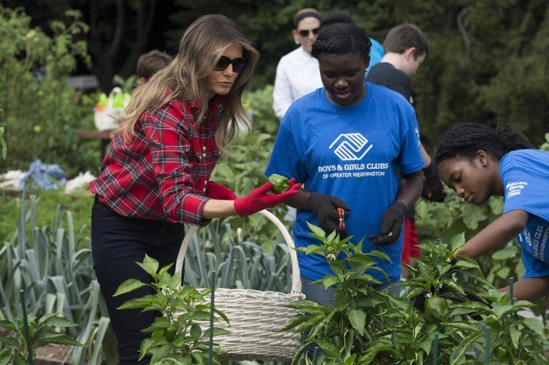 La primera dama de Estados Unidos, Melania Trump (i), recolecta verduras y hortalizas con varios esudiantes en el huerto de la Casa Blanca, en Washington, este 22 de septiembre de 2017. 