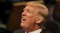 Donald Trump, presidente de los EEUU, cuestiona las afirmaciones de Facebook sobre la presunta injerencia rusa en las presidenciales de 2016. Donald Trump, presidente de los EEUU, cuestiona las afirmaciones de Facebook sobre la presunta injerencia rusa en las presidenciales de 2016.