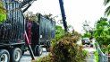 Camiones recogen la basura causada por el huracán Irma, en la ciudad de Hialeah. Camiones recogen la basura causada por el huracán Irma, en la ciudad de Hialeah.