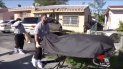 arrestan a sospechoso de matar a una mujer en hialeah arrestan a sospechoso de matar a una mujer en hialeah