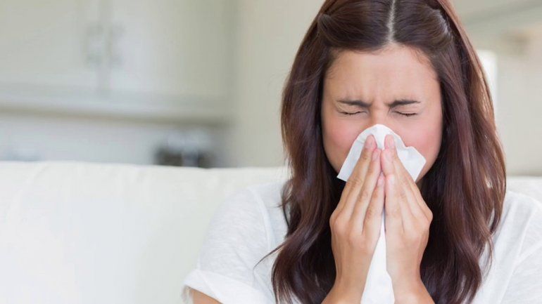 El flu, influenza o gripe es una enfermedad infecciosa que es asociada con la bajada brusca de la temperatura y suele resolverse en algunos d&iacute;as con el cuidado m&eacute;dico correspondiente