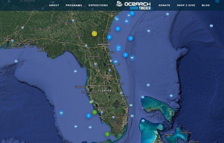 Captura de pantalla de la página de la agencia de recolección de datos oceánicos, OCEARCH, el 11 de diciembre de 2019.