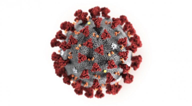 Esta ilustraci&oacute;n prove&iacute;da por los Centros de Control y Prevenci&oacute;n de Enfermedades de EEUU en enero del 2020 muestra el Novel Coronavirus 2019 (2019-nCoV). El virus fue identificado como la causa de un brote detectado inicialmente en China. 