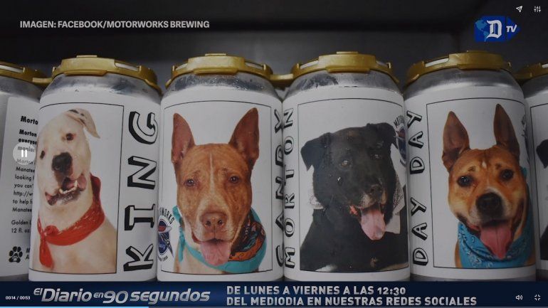 Latas con fotos de los perritos. 
