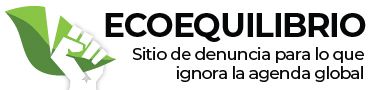 ecoequilibrio_cabezal