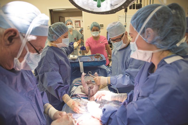 La mayoría de los hospitales hacen “demasiadas cesáreas”