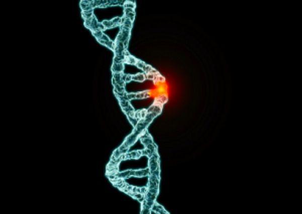 Se ha confirmado que la mutación del gen BRCA no solo es responsable del cáncer de mama y ovario