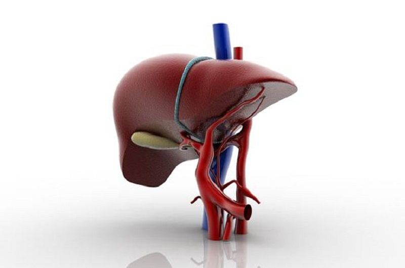 ¿Qué le hace la cirrosis del hígado a su cuerpo?