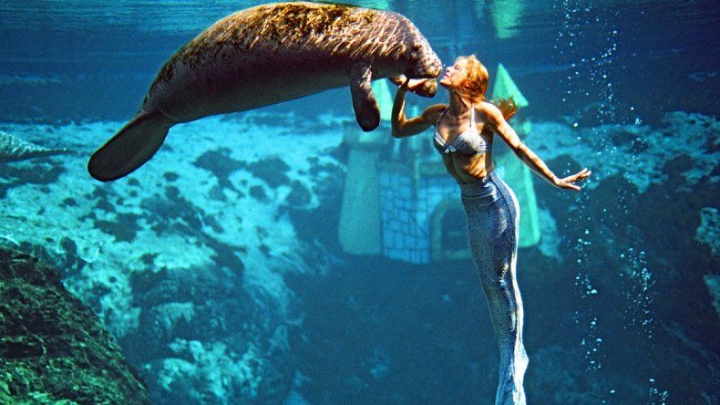Sirenas y manatíes en Weeki Wachee Springs en Florida | Turismo