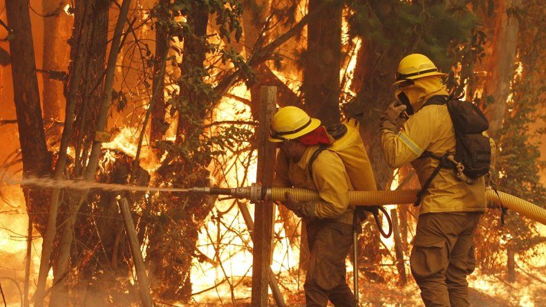 400 Mil Hectáreas Han Sido Arrasadas Por El Fuego En Chile Chile 