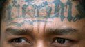 Uno de los principales rasgos de los miembros de la Mara Salvatrucha son los tatuajes y la forma de vestir. Uno de los principales rasgos de los miembros de la Mara Salvatrucha son los tatuajes y la forma de vestir.