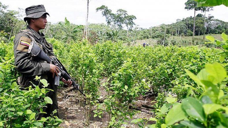 El narcotráfico no se detiene en la triple frontera entre ...