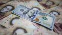 El Estado venezolano monopoliza el flujo de divisas bajo un control de cambio desde 2003 y ha acentuado los filtros para la asignación de estas monedas El Estado venezolano monopoliza el flujo de divisas bajo un control de cambio desde 2003 y ha acentuado los filtros para la asignación de estas monedas