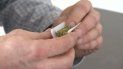 La marihuana es una de las drogas más populares a nivel mundial. La marihuana es una de las drogas más populares a nivel mundial.