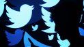 La red social Twitter La red social Twitter
