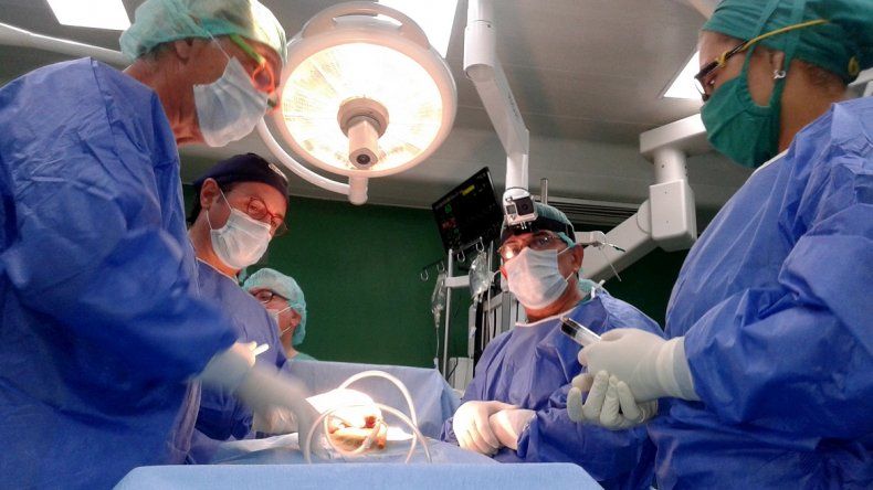 disfunción eréctil del centro médico de miami lakeshot disfunción eréctil del centro médico de miami lakeshot