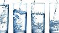 Los adultos de mediana edad y mayores a menudo muestran una peor percepción de la sed. Los adultos de mediana edad y mayores a menudo muestran una peor percepción de la sed.