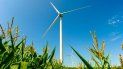 NextEra Energy cuenta con casi cinco millones de clientes en Florida a través de FPL. NextEra Energy cuenta con casi cinco millones de clientes en Florida a través de FPL.