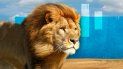 A los leones se les colocó una pelota de fútbol en el espacio al aire libre donde pueden ser observados. A los leones se les colocó una pelota de fútbol en el espacio al aire libre donde pueden ser observados.