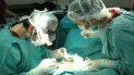 Los médicos de EEUU iban a trabajar gratuitamente como parte del Proyecto de Salud para León que incluía varios tipos de cirugía de diversa complejidad. Los médicos de EEUU iban a trabajar gratuitamente como parte del Proyecto de Salud para León que incluía varios tipos de cirugía de diversa complejidad.