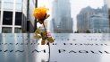 Una flor yace en un memorial por los atentados del 11 de septiembre de 2001 durante el 17 aniversario de los ataques, en Nueva York, EEUU. Una flor yace en un memorial por los atentados del 11 de septiembre de 2001 durante el 17 aniversario de los ataques, en Nueva York, EEUU.