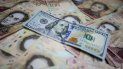 Billetes venezolanos y dólares estadounidenses en una imagen tomada en febrero de 2016, en Caracas. Billetes venezolanos y dólares estadounidenses en una imagen tomada en febrero de 2016, en Caracas.