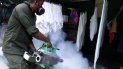 Autoridades reconocen que no se logra la solución del problema del dengue y el zika en Cuba. Autoridades reconocen que no se logra la solución del problema del dengue y el zika en Cuba.