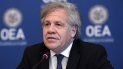 El secretario general de la Organización de Estados Americanos (OEA), Luis Almagro. El secretario general de la Organización de Estados Americanos (OEA), Luis Almagro.