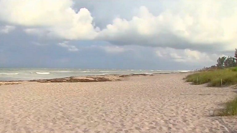 Las autoridades temen que las toxinas de la marea roja puedan afectar también las playas de Miami-Dade y Broward.