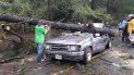 Personal de rescate trabaja en la remoción de un árbol que cayó sobre un auto en Tegucigalpa, Honduras. Personal de rescate trabaja en la remoción de un árbol que cayó sobre un auto en Tegucigalpa, Honduras.
