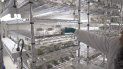 Laboratorios de Canopy Growth, el mayor productor de cannabis del mundo. Laboratorios de Canopy Growth, el mayor productor de cannabis del mundo.