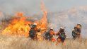 Los bomberos trabajan para extinguir un brote del incendio Woolsey en una colina en West Hills, California. Los bomberos trabajan para extinguir un brote del incendio Woolsey en una colina en West Hills, California.