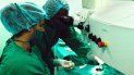 La prensa cubana pasa por alto también las demandas que ha presentado un numeroso grupo de médicos a los que el Gobierno presenta como desertores. La prensa cubana pasa por alto también las demandas que ha presentado un numeroso grupo de médicos a los que el Gobierno presenta como desertores.