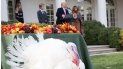 El presidente Trump, en compañía de su hijo menor y de la Primera Dama, en la tradicional ceremonia del perdon del pavo de Acción de Gracias El presidente Trump, en compañía de su hijo menor y de la Primera Dama, en la tradicional ceremonia del perdon del pavo de Acción de Gracias