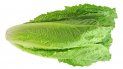 Autoridades de salud de EEUU advierten sobre el consumo de lechuga romana. Autoridades de salud de EEUU advierten sobre el consumo de lechuga romana.