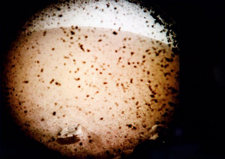Fotograf&iacute;a cedida por la NASA que muestra la primera imagen tomada desde el m&oacute;dulo espacial InSight tras su exitoso aterrizaje en el planeta Marte.