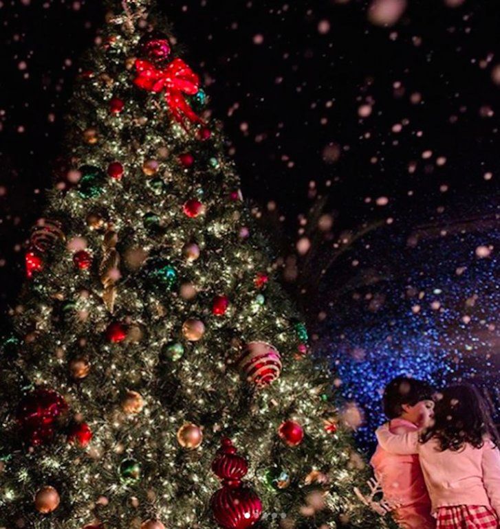 Navidad en Coconut Grove.