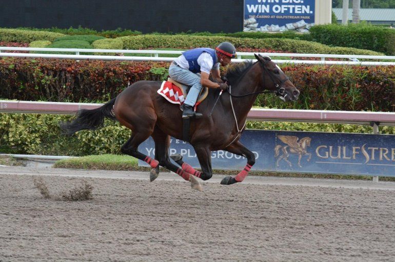 Kukulkán fue elegido como Caballo Dosañero del año en 2017.