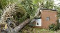 Una casa destruida por un árbol después que el huracán Charley pasara por la ciudad de Orlando en Florida, el sábado 14 de agosto de 2004. Una casa destruida por un árbol después que el huracán Charley pasara por la ciudad de Orlando en Florida, el sábado 14 de agosto de 2004.