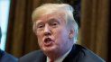 Donald Trump, presidente de los Estados Unidos. Donald Trump, presidente de los Estados Unidos.
