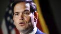 El senador republicano Marco Rubio. El senador republicano Marco Rubio.